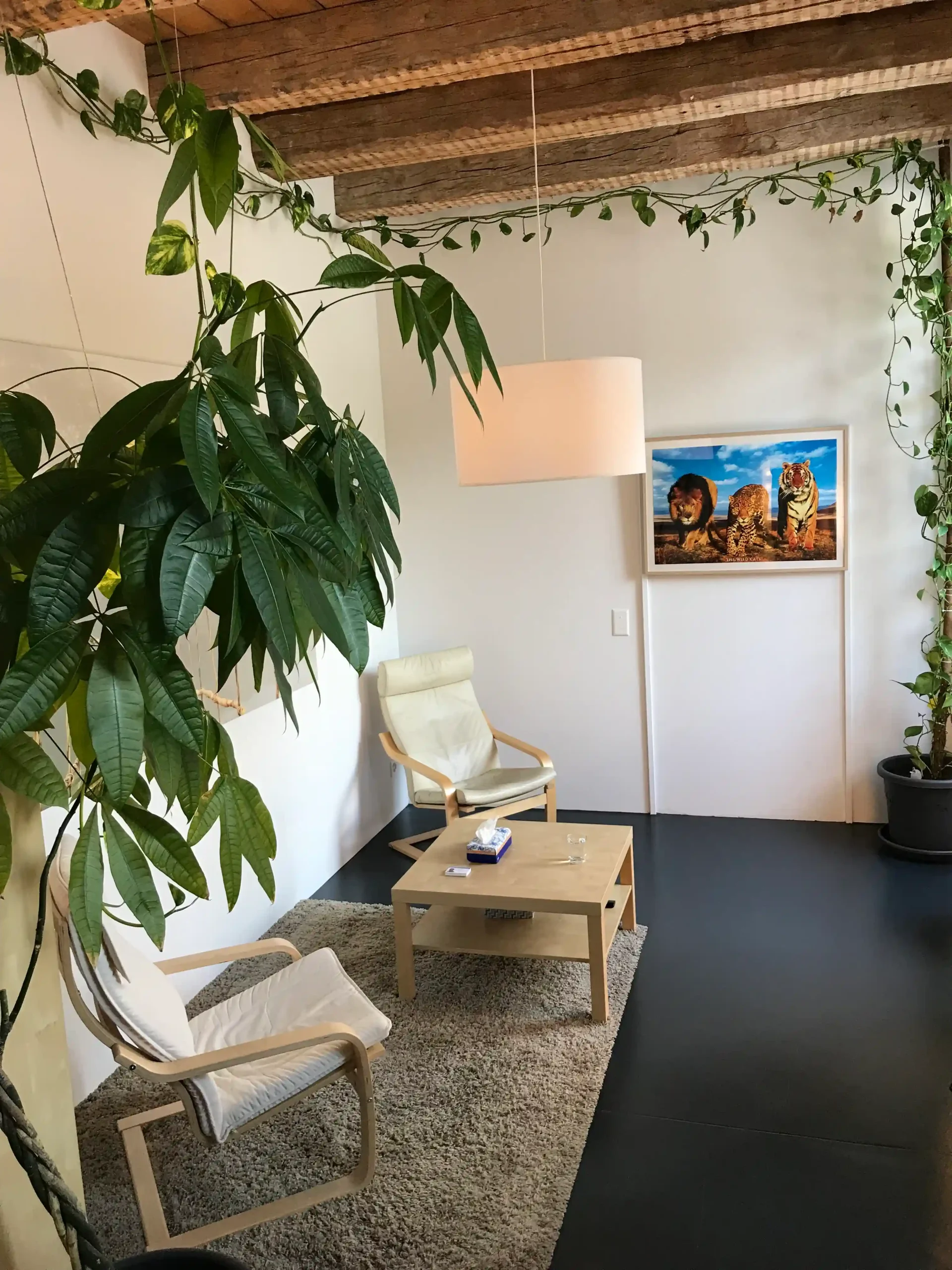 Gewichtsreduktion mit Hypnose in Rupperswil